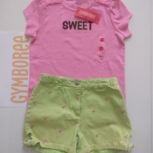 GYMBOREE T-shirt and Shorts Set